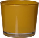 Set van twee - Conner regular mustard H12,5 D14,5