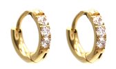 Dielay - Oorringen met Zirkonia - RVS - 10 mm - Goudkleurig