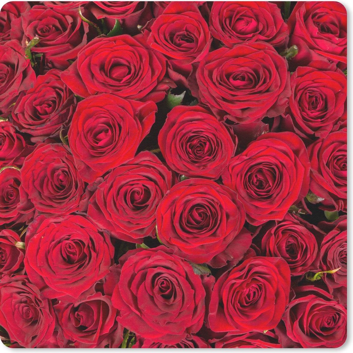 Muismat 30x30 cm - Mousepad Rozen - Boeket - Rood - Muismatten
