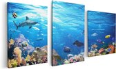 Artaza - Triptyque de peinture sur toile - Pêche avec récif de corail Water l'eau - 120x60 - Photo sur toile - Impression sur toile