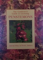 The Gardener's Guide To Growing Penstemons