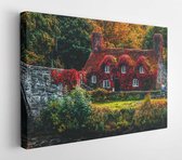 Canvas schilderij - House covered with red flowering plant  -     1438248 - 40*30 Horizontal