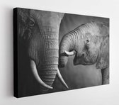 Canvas schilderij - Elephants showing affection (Artistic processing)  -     108082691 - 40*30 Horizontal