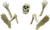 Halloween decoratie skelet 18 - 32 cm wit 10-delig