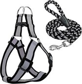 Reflecterende hondentuig + Reflecterende riem  - Maat S - Small - Hondenharnas -  Anti trek - Voor kleine honden -  No pull harnas - Harness hond - Honden Harnas - Hondentuigje - H