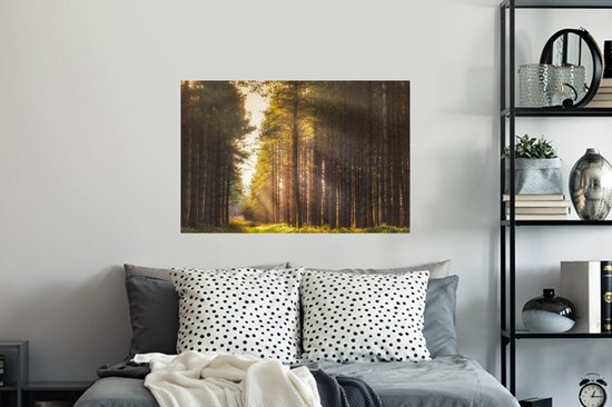 Sticker Muursticker Forêt - Rayons de soleil le long des grands arbres - 90x60 cm - film adhésif autocollant - sticker mural repositionnable