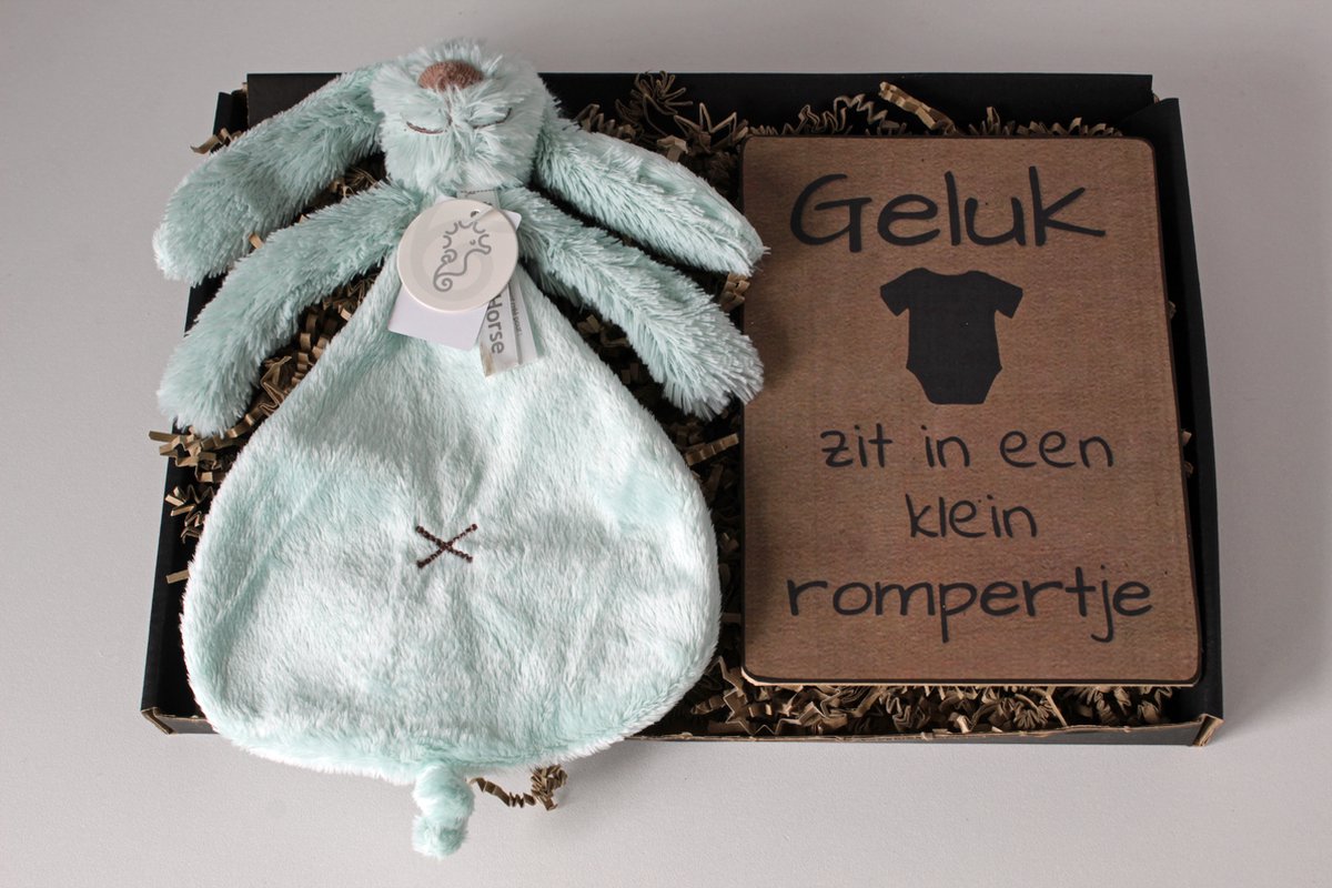 Brievenbus cadeau Rabbit Richie Lagoon - cadeau baby - kraamcadeau