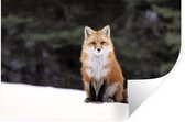 Stickers muraux - Renard - Neige - Rouge - 60x40 cm - Feuille adhésive