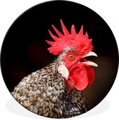 Cercle mural coq qui chante en aluminium ⌀ 30 cm - impression photo sur cercle mural / cercle vivant / cercle de jardin (décoration murale)