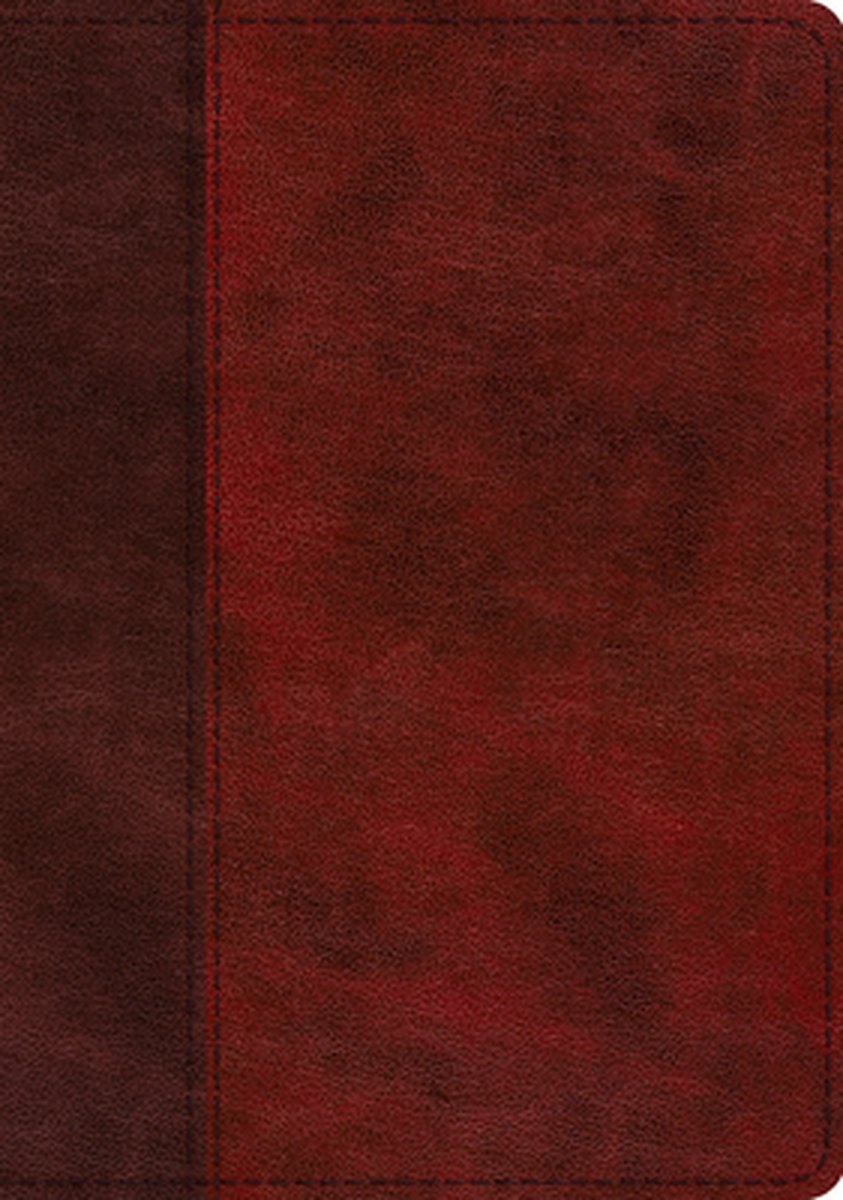 ESV Single Column Journaling Bible, Large Print (Trutone, Burgundy/Red, Timeless Design) [Book]