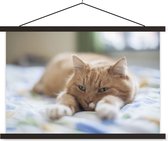 Posterhanger incl. Poster 120x80 cm - Schoolplaat - Kat - Bed - Bedsprei - Meisjes - Kinderen - Jongens - Kind - Textielposter - Zwarte latten