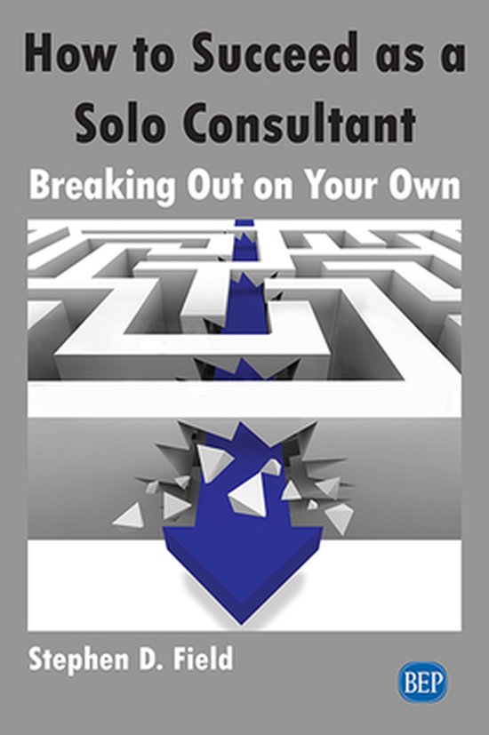 How to Succeed As a Solo Consultant - cover