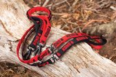 KONG Zero-shock leash One Size Red | 1 st
