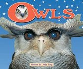 Owls (Level 10)