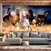Zelfklevend fotobehang - Wilde paarden, 8 maten, premium print