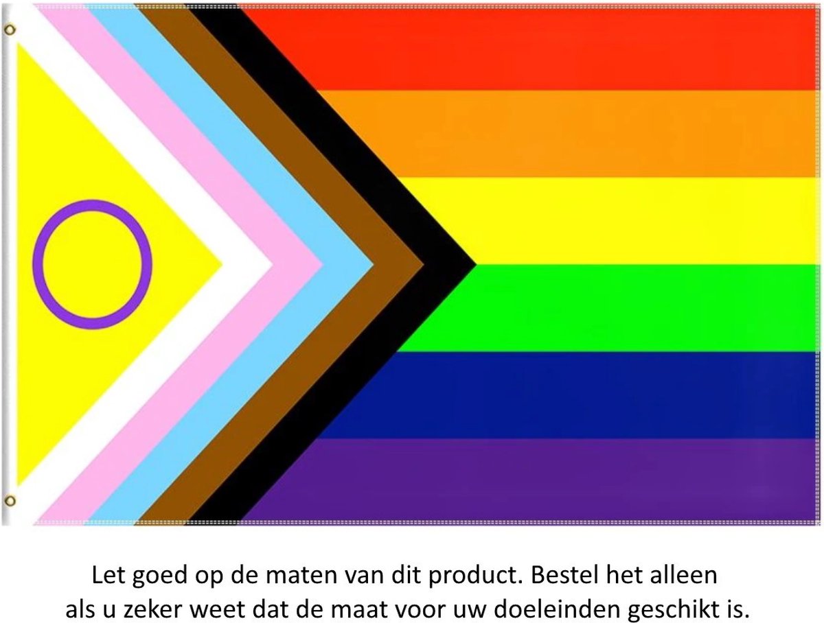 thumbnail: Set Van 2 Gay Pride Vlaggen - 90x150cm Regenboogvlag LGBTQ - Met Messing Ogen Voor Optochten En Feesten