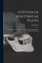 A System of Anatomical Plates; Accompanied With Descriptions, and Physiological, Pathological, and Surgical Observations