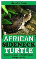 African Sideneck Turtle