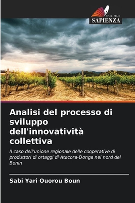 Analisi del processo di sviluppo dell'innovatività collettiva