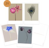 Ansichtkaarten set bloemen Botanisch zonder tekst -Soft Spirit -  Ansichtkaart - wenskaart - 8 stuks - A6  - fotografie - Rijkvol