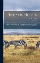 Hints on Horses