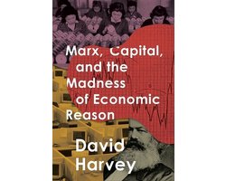 Omslag van Marx, Capital, and the Madness of Economic Reason