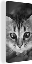 Tableau sur toile représentant un chat reniflant, de profil, en noir et blanc - 20 x 40 cm - Décoration murale