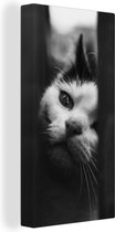 Tableau sur toile représentant un chat noir et blanc de profil - 20 x 40 cm - Décoration murale