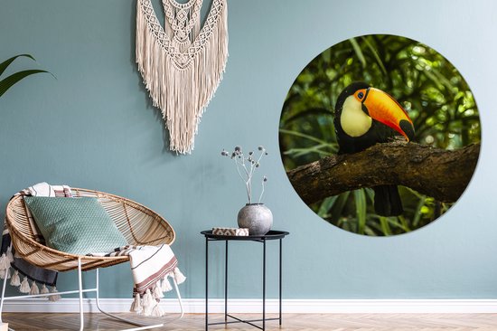 Toucan géant sur une branche Assiette en plastique cercle mural ⌀ 120 cm - impression photo sur cercle mural / cercle vivant (décoration murale) XXL / Groot format!