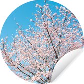 WallCircle - Muurstickers - Behangcirkel - Kersenboom - Japan - Bloesem - ⌀ 30 cm - Muurcirkel - Zelfklevend - Ronde Behangsticker