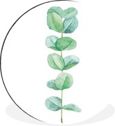 Illustration aquarelle plant eucaluptus cercle mural aluminium ⌀ 120 cm - impression photo sur cercle mural / cercle vivant / cercle de jardin (décoration murale)
