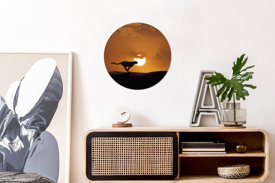 WallCircle - Wall Circle - Wall Circle - Silhouette d'un Guépard dans le Désert - Aluminium - Dibond - 30x30 cm - Intérieur et Extérieur