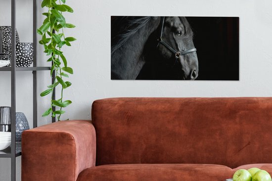 Toile Peinture Cheval - Zwart - Licol - 80x40 cm - Décoration murale