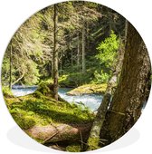 WallCircle - Wandcirkel ⌀ 150 - Rivierbedding in de bossen van het Nationaal park Hohe Tauern - Ronde schilderijen woonkamer - Wandbord rond - Muurdecoratie cirkel - Kamer decoratie binnen - Wanddecoratie muurcirkel - Woonaccessoires
