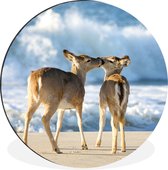 Cercle mural - Cercle mural - Cerf - Mer - Water - Sable - Aluminium - ⌀ 60 cm - Intérieur et extérieur