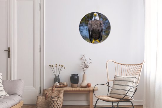 WallCircle - Tableau - Un Pygargue À Tête Blanche Américain Assis Sur Un Poteau En Bois Et - Multicolore - 30 X 30 Cm