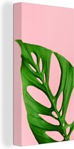 Canvas Schilderij Botanisch blad met felle kleur als achtergrond - 20x40 cm - Wanddecoratie