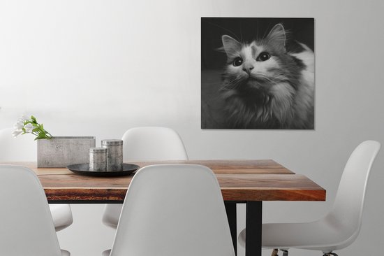 Tableau sur toile Profil animal chat en noir et blanc - 50x50 cm - Décoration murale