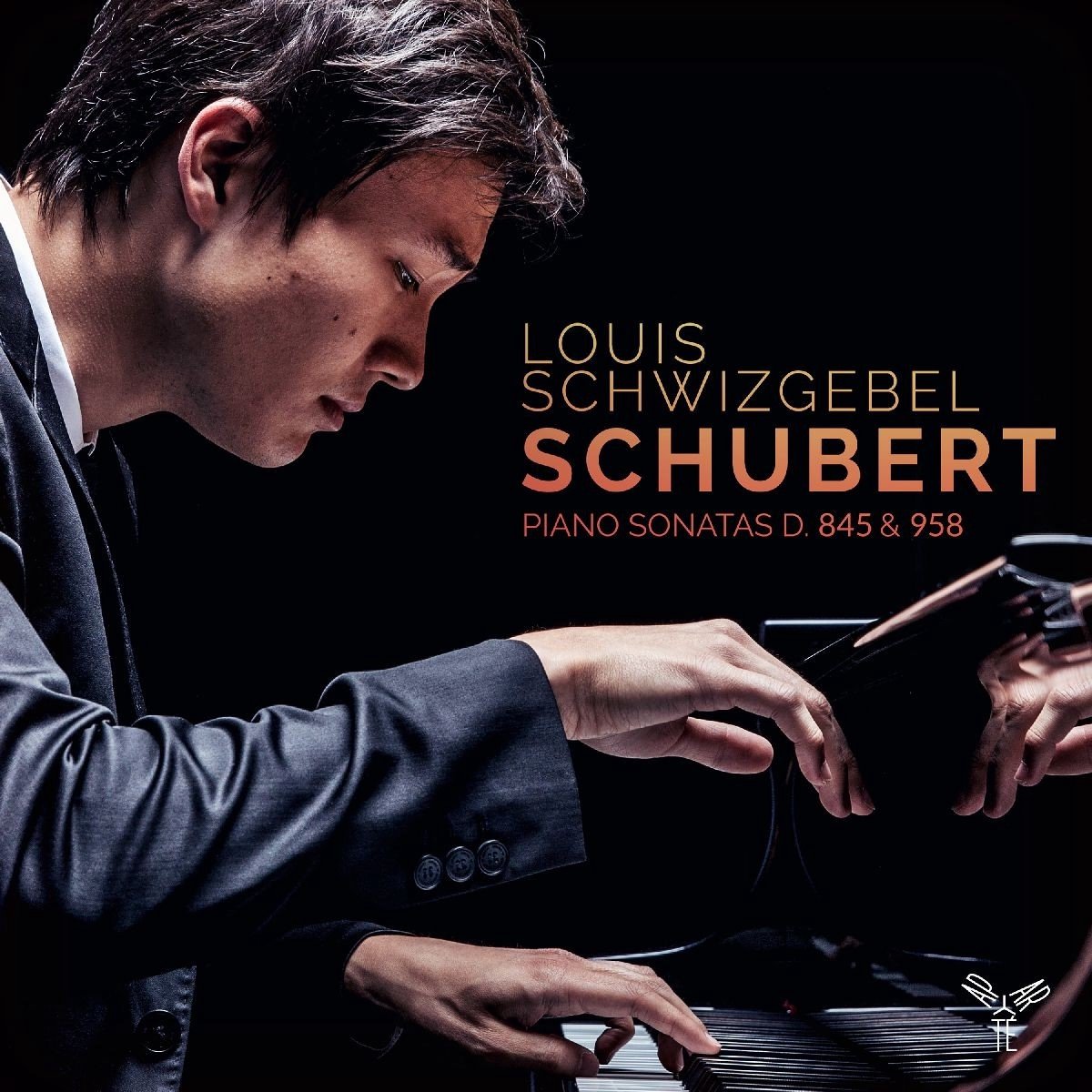 Louis Schwizgebel - Schubert: Piano Sonatas D. 845 & 958 (CD)