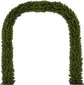 Triumph Tree Camden Boog - 240 x 41 x 254 cm - Groen