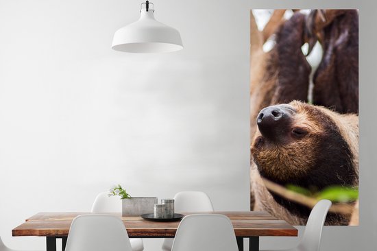 Poster 80x160 cm - Een luiaard van dichtbij ondersteboven hangend - Posters - Kamer decoratie - Wanddecoratie woonkamer - Muurdecoratie slaapkamer