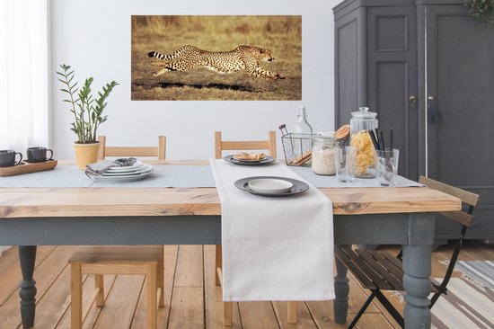 Affiche Vue de face guépard femelle - 120x60 cm