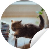 Garden Circle Chat - Animal - Chaton - 90x90 cm - Affiche de Jardin Ronde - Extérieur