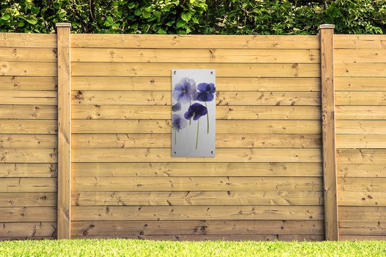Poster de jardin Violettes violettes sur caisson lumineux - 40x80 cm - Décoration murale Outdoor - Poster de jardin - Toile de jardin - Poster de clôture - Tableau de jardin