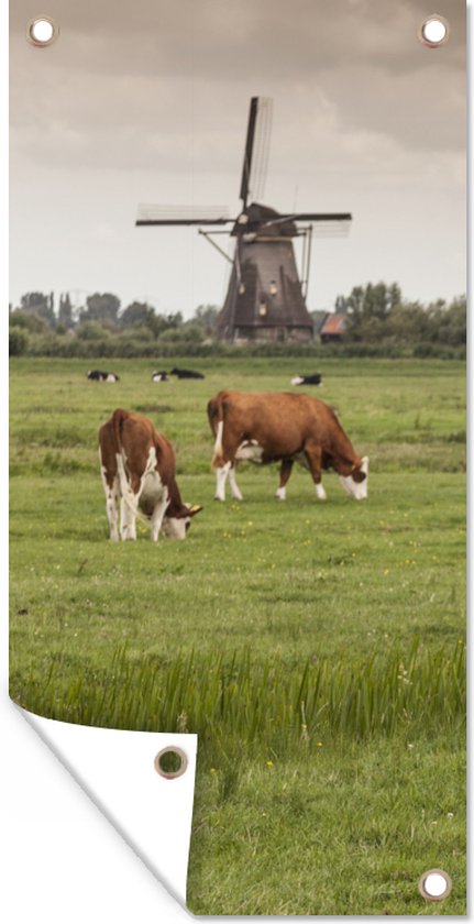 Tuinposter Koeien in het gras met windmolens in Amsterdam - 40x80 cm - Wanddecoratie Buiten - Tuinposter - Tuindoek - Schuttingposter - Tuinschilderij