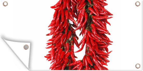 Décoration murale d'extérieur Une guirlande de piments de Cayenne ou Capsicum frutescens - 160x80 cm - Toile jardin - Poster extérieur