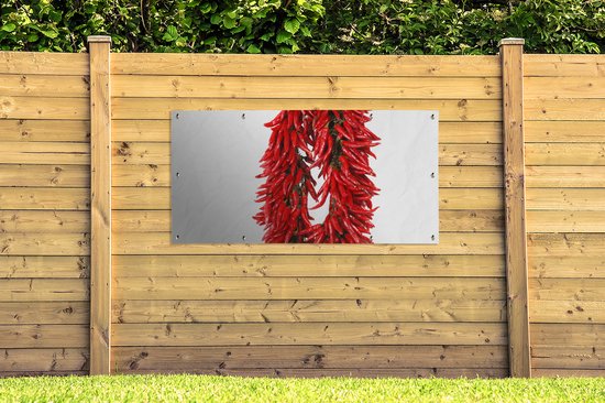Décoration murale d'extérieur Une guirlande de piments de Cayenne ou Capsicum frutescens - 160x80 cm - Toile jardin - Poster extérieur