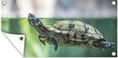 Tuinposter Close-up foto van schildpad - 60x30 cm - Tuindoek - Buitenposter