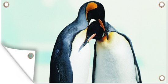 Affiche clôture Pingouins - Neige - Famille - 200x100 cm - Toile de jardin
