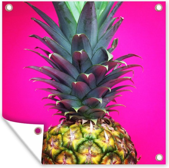 Gros plan d'un poster de jardin ananas coloré 100x100 cm - Toile de jardin / Toile d'extérieur / Peintures pour l'extérieur (décoration de jardin)